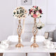 Gold Metal Candelabra Set (2 pieces)