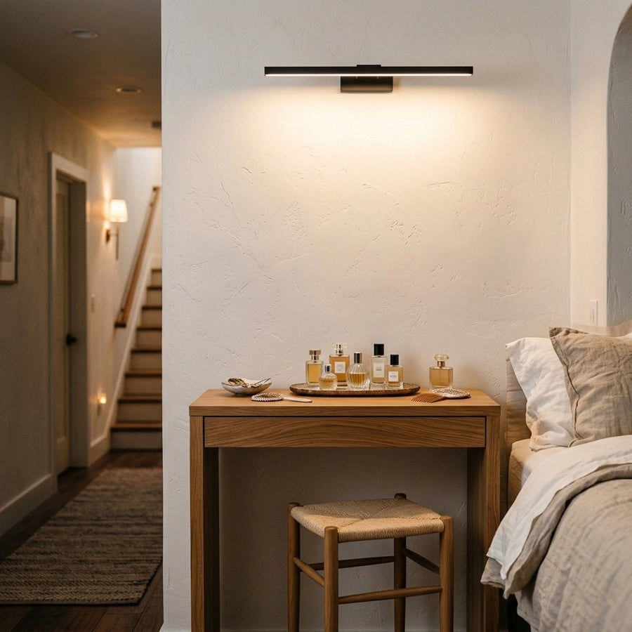 LED picture and mirror light